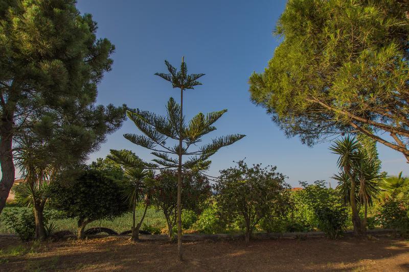 Porto Giardino Apartments Psarou  Buitenkant foto
